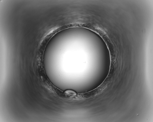 X0000086881159200704300931