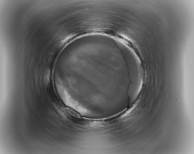 X0000086881161200704300931