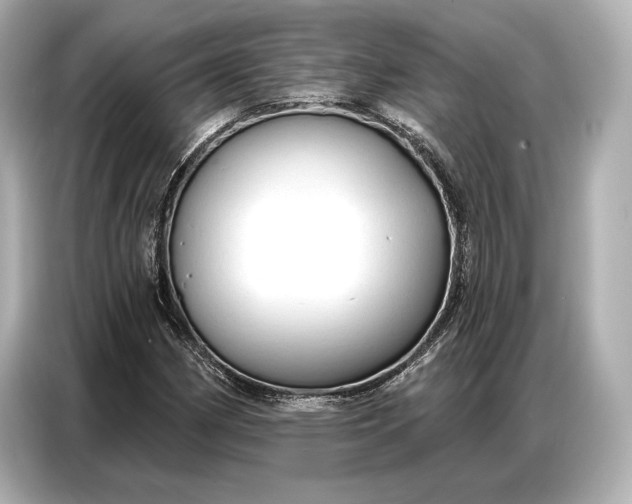 X0000086881162200704300931