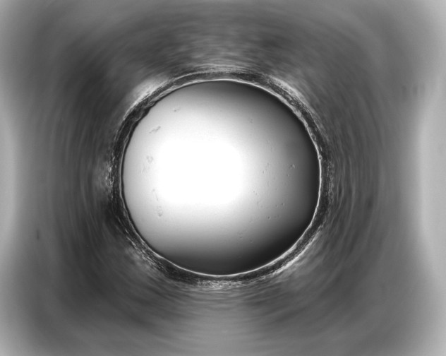 X0000086881163200704300931