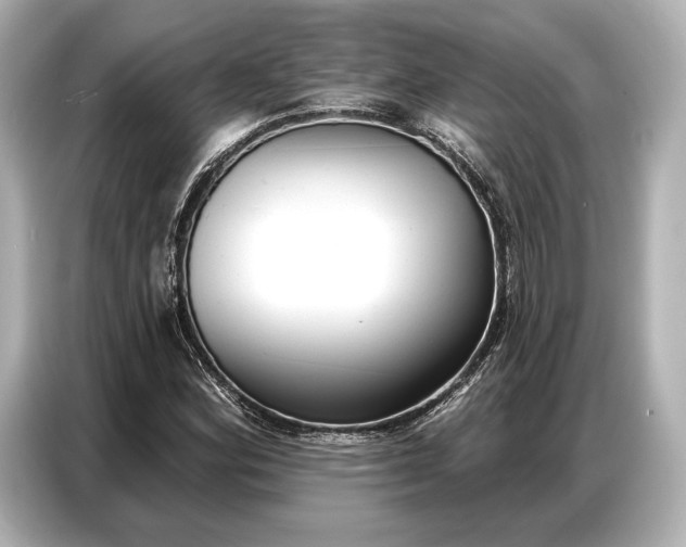 X0000086881164200704300931