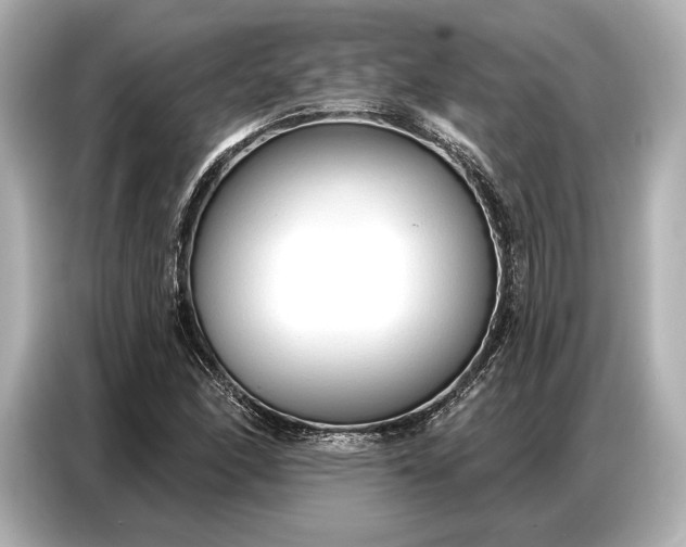 X0000086881166200704300931