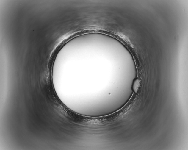 X0000086881167200704300931