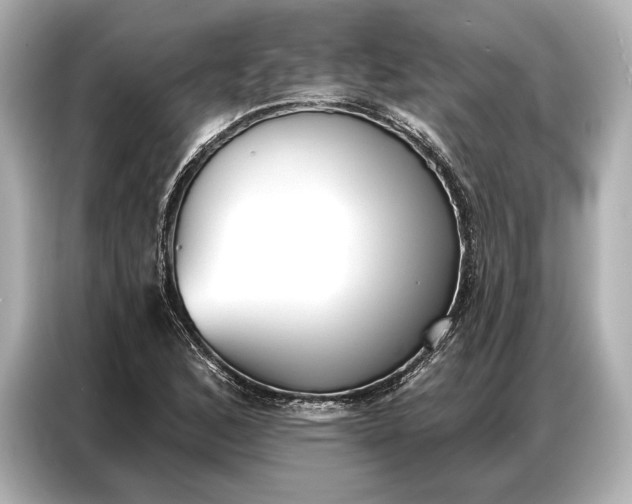 X0000086881168200704300931