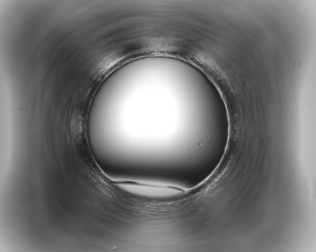 X0000086881169200704300931