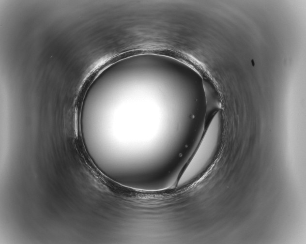 X0000086881171200704300931