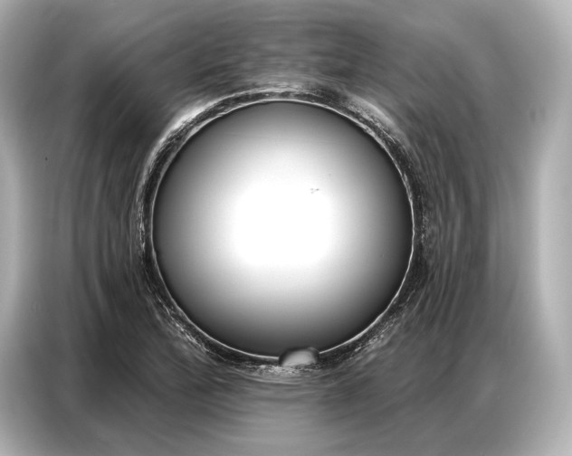 X0000086881172200704300931