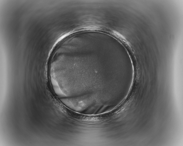 X0000086881174200704300931