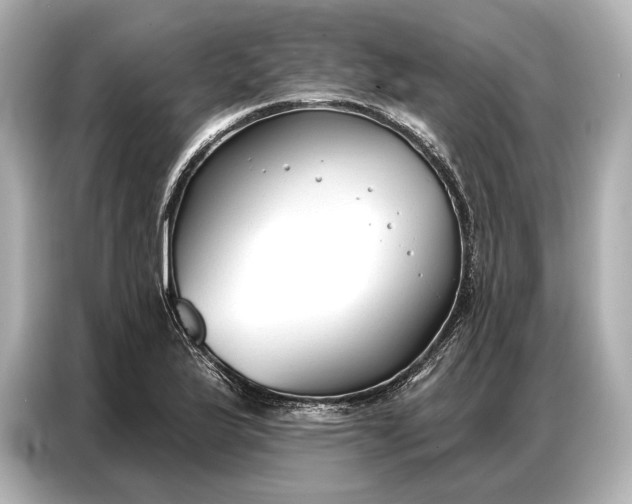 X0000086881175200704300931