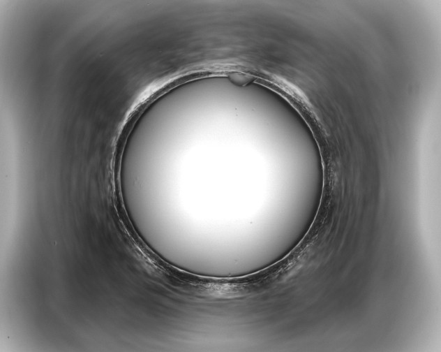 X0000086881176200704300931