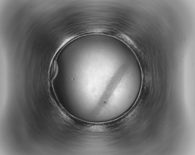 X0000086881178200704300931