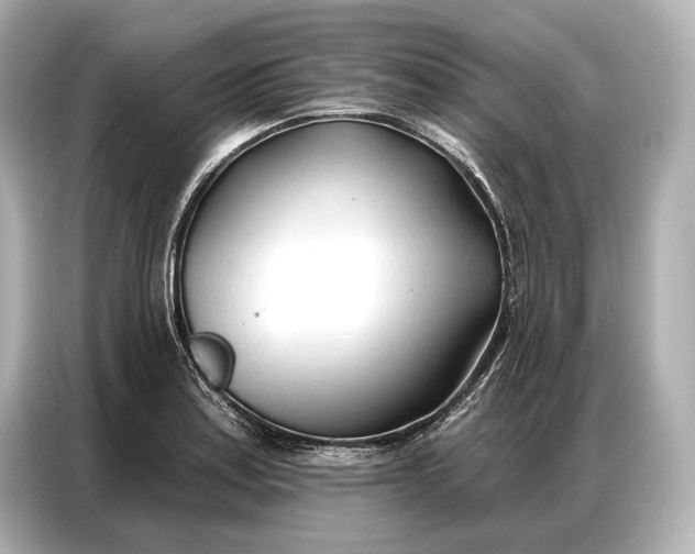 X0000086881179200704300931