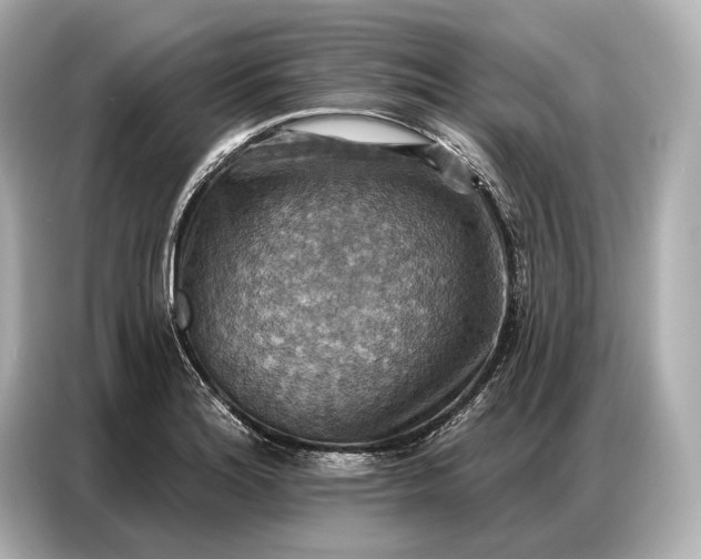 X0000086881180200704300931