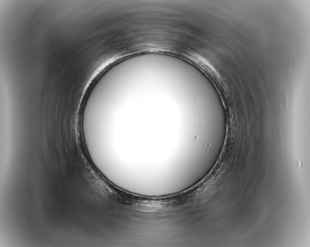 X0000086881182200704300931