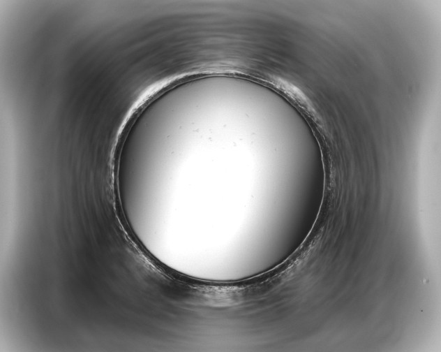 X0000086881184200704300931