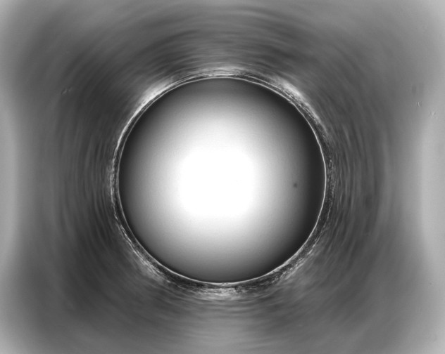 X0000086881186200704300931