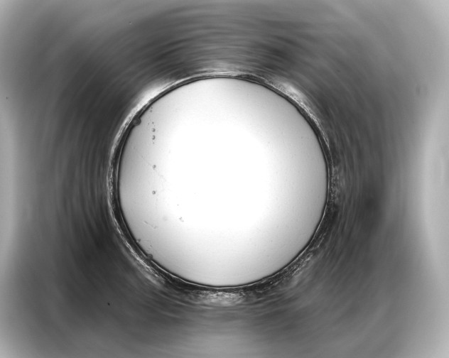 X0000086881187200704300931