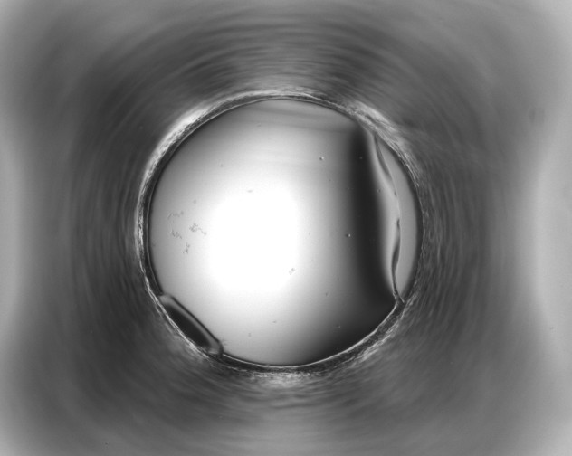 X0000086881188200704300931