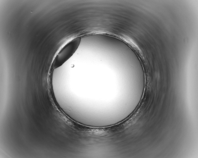 X0000086881190200704300931