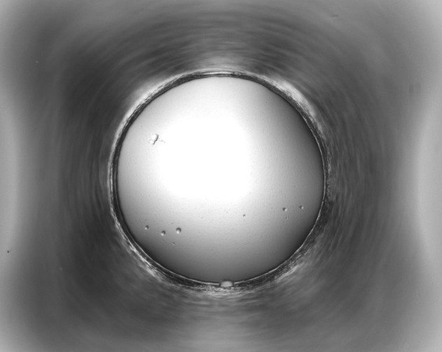 X0000086881191200704300931