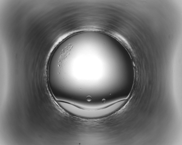 X0000086881192200704300931