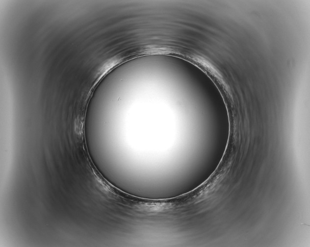 X0000086881193200704300931