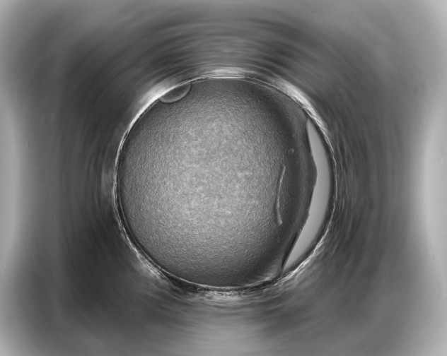 X0000086881194200704300931