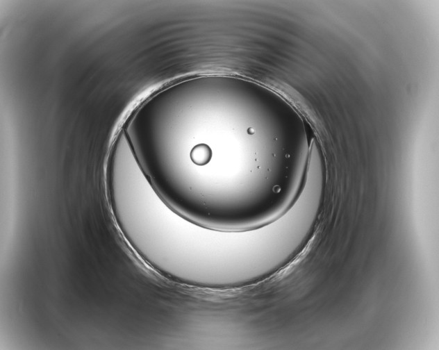 X0000086881196200704300930