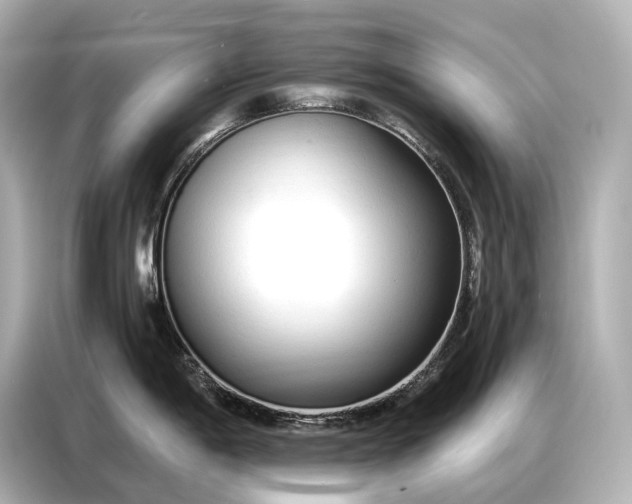 X0000086881198200704300930