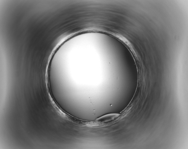 X0000086881199200704300930