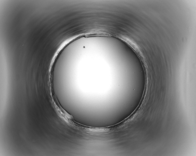 X0000086881200200704300930