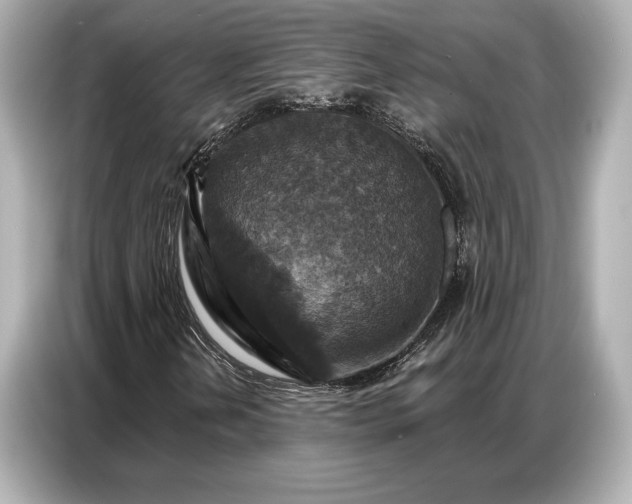 X0000086881202200704300930