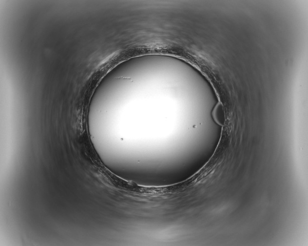 X0000086881205200704300930