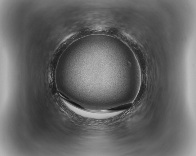 X0000086881206200704300930