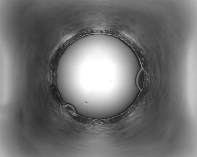 X0000086881207200704300930