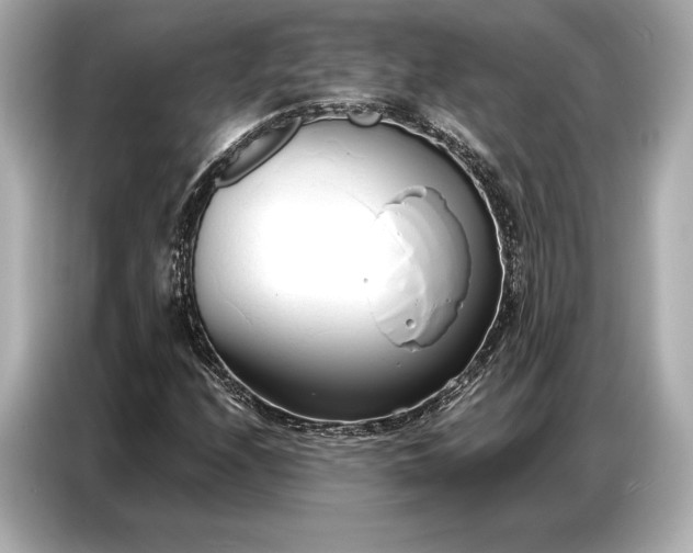 X0000086881208200704300930