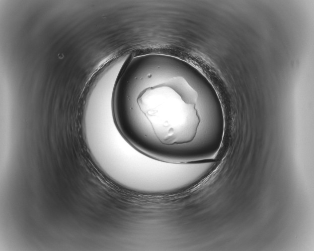 X0000086881210200704300930