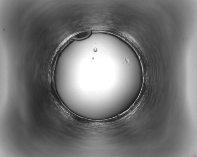 X0000086881212200704300930