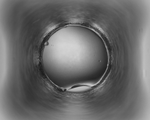 X0000086881213200704300930