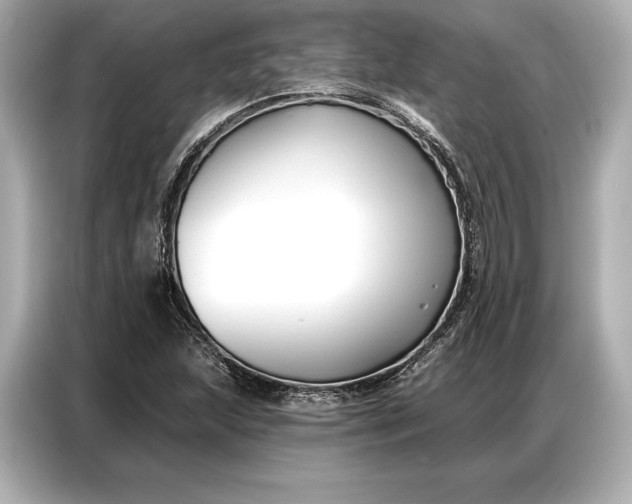 X0000086881215200704300930