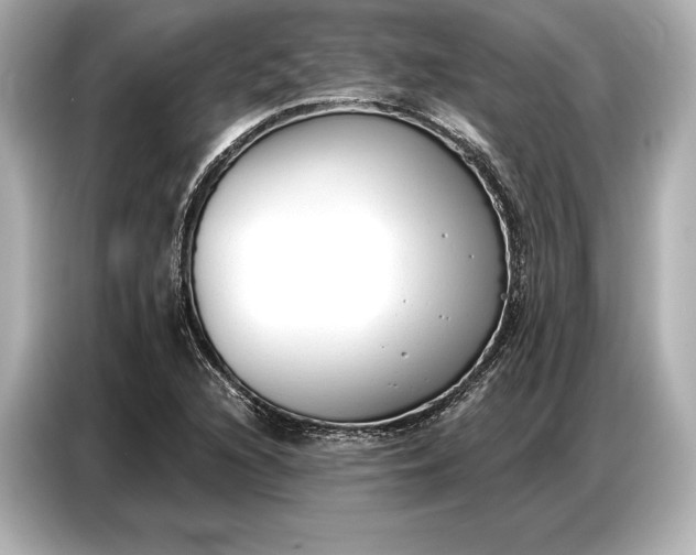 X0000086881216200704300930