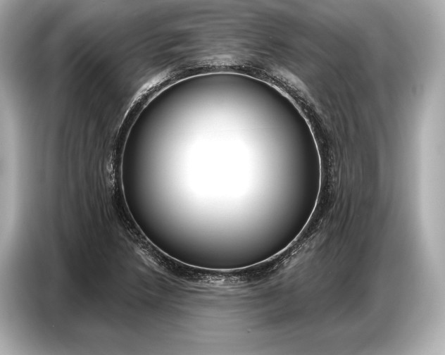 X0000086881218200704300930