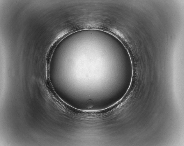 X0000086881219200704300930