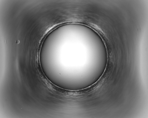 X0000086881220200704300930