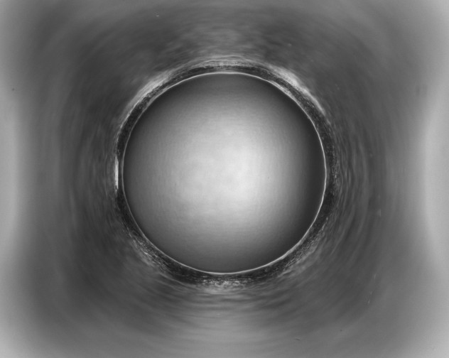 X0000086881221200704300930