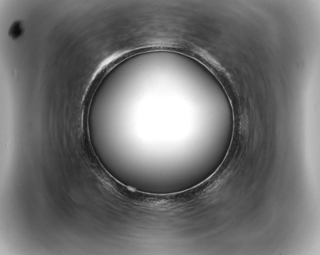 X0000086881222200704300930