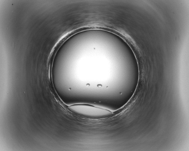 X0000086881224200704300930