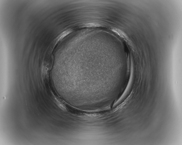 X0000086881225200704300930