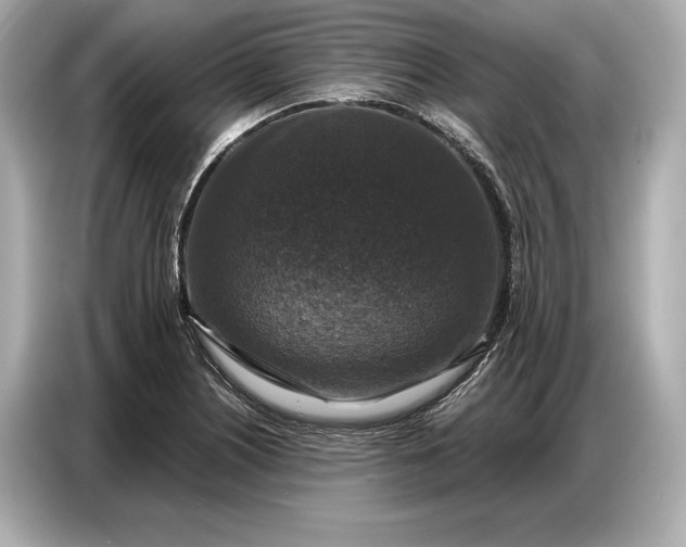 X0000086881226200704300930