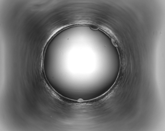 X0000086881228200704300930